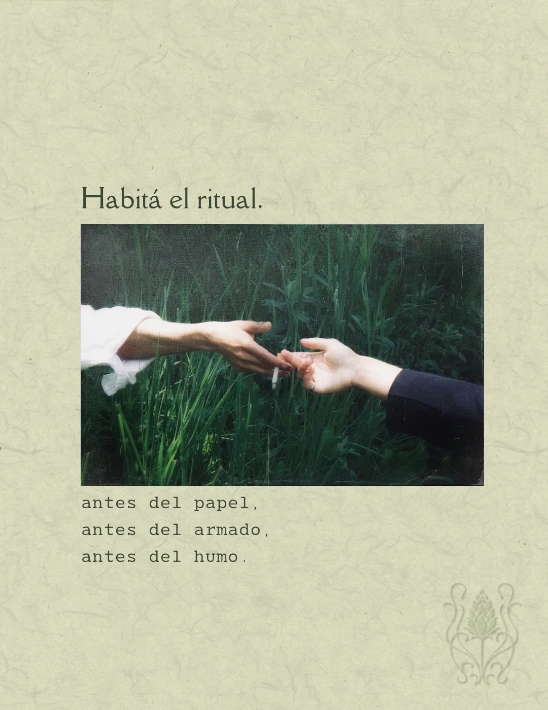 Campaña editorial SECA — Habité el ritual
